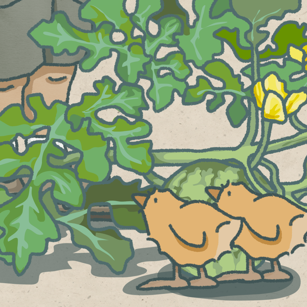 My Life With Gracie...About Friendship