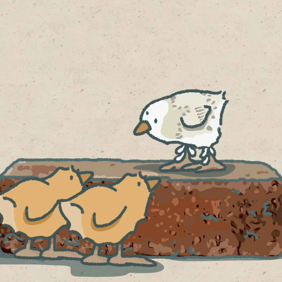 My Life With Gracie...Goals And Successes