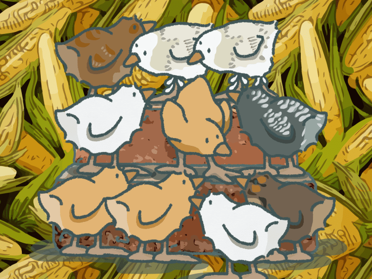 My Life With Gracie...A Startling Revelation