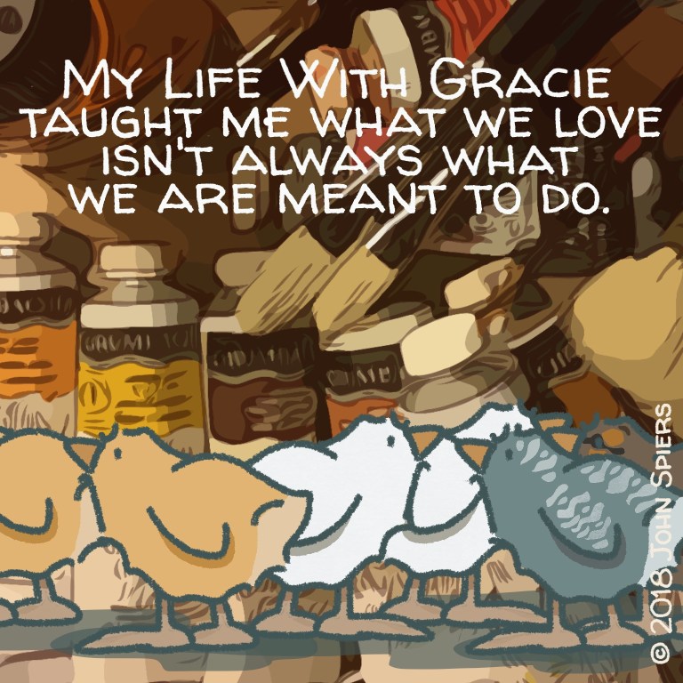 My Life With Gracie...About What We Love