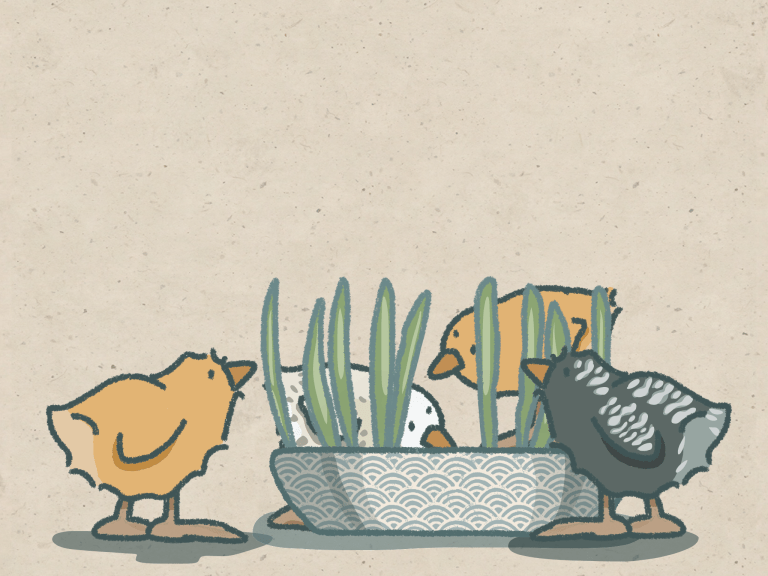 My Life With Gracie...Giving Well