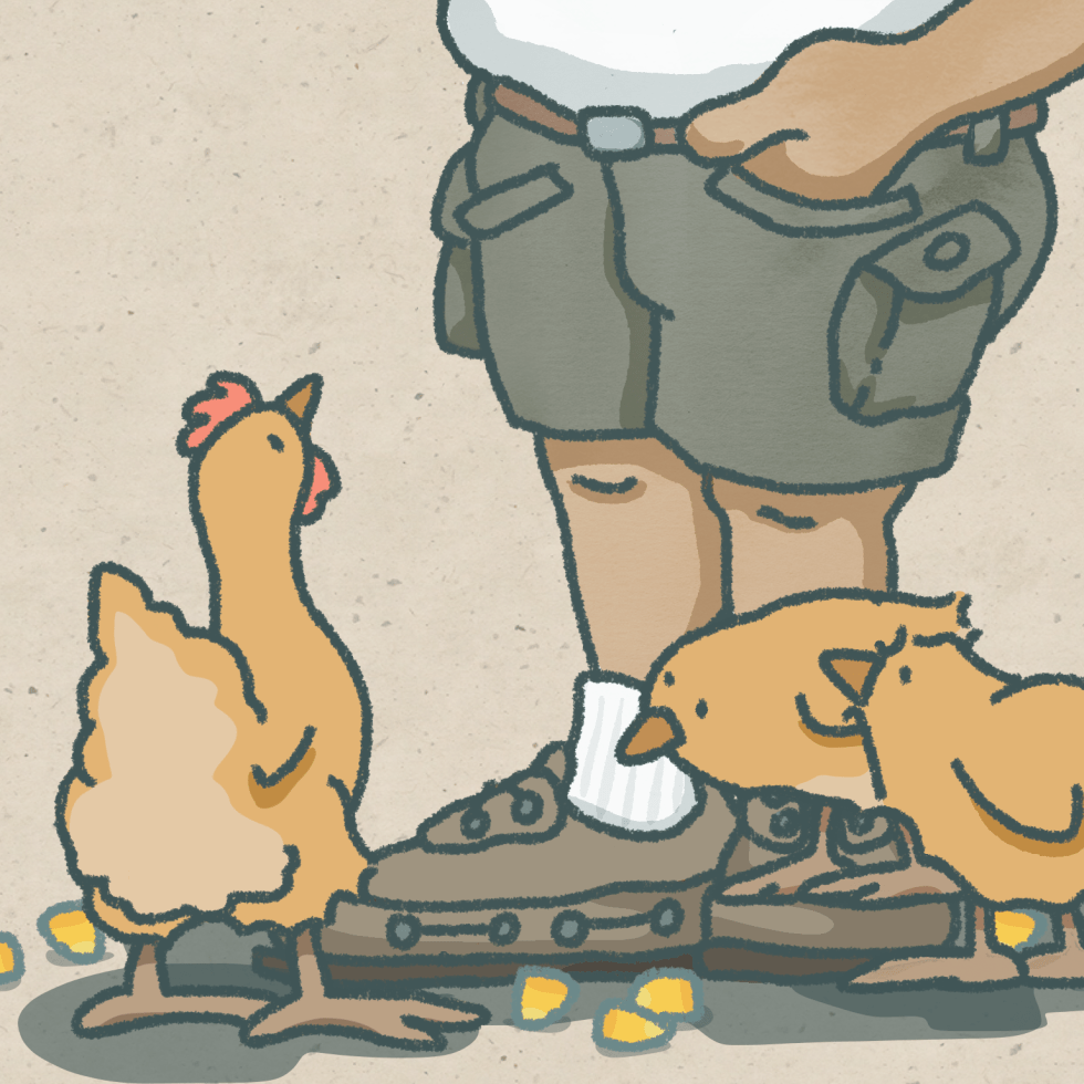 My Life With Gracie...Receiving Well