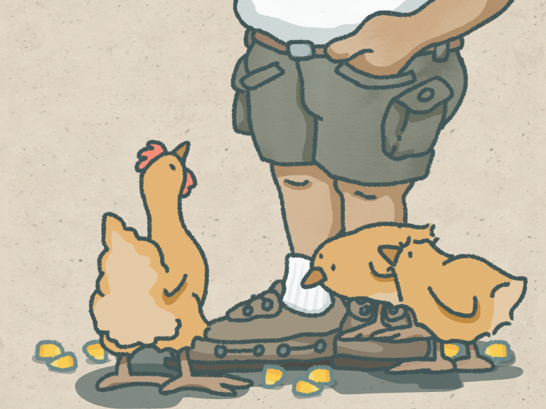 My Life With Gracie...Receiving Well