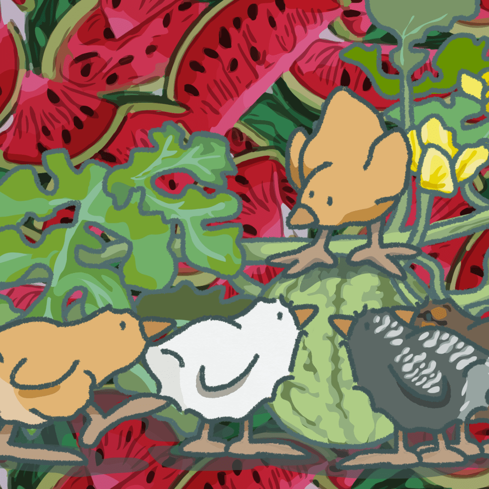 My Life With Gracie...On Giving Patience