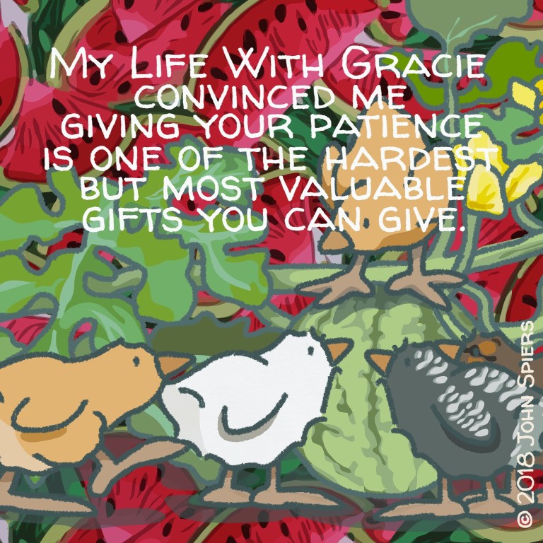 My Life With Gracie...On Giving Patience