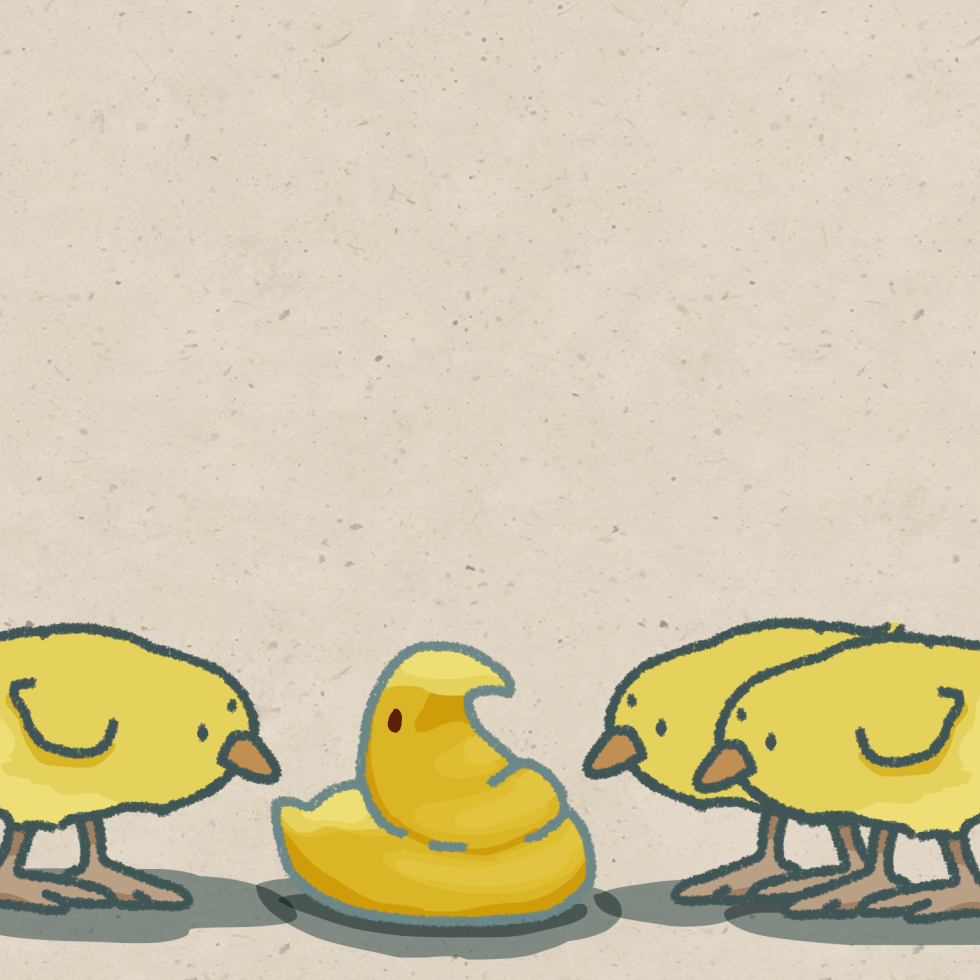 What's On The Inside