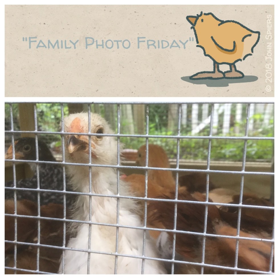 Family Photo Friday