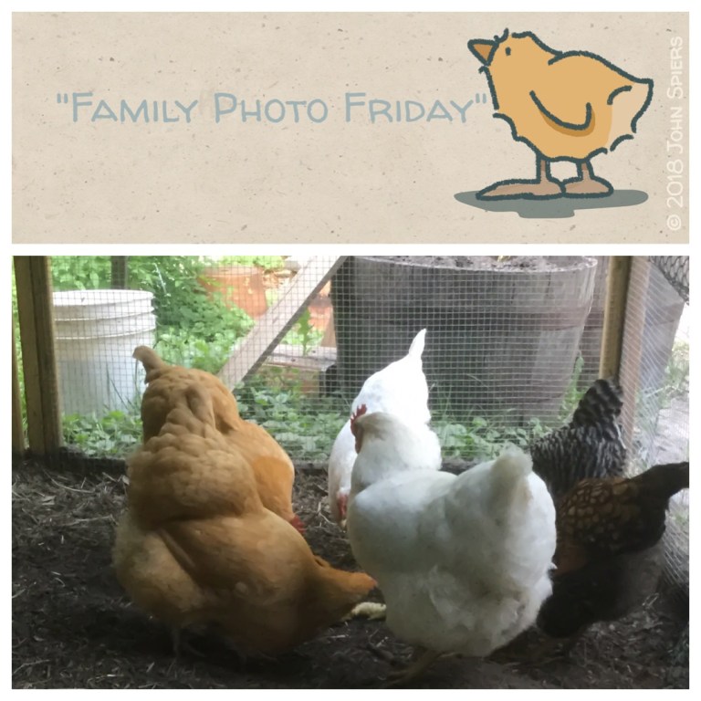 Family Photo Friday
