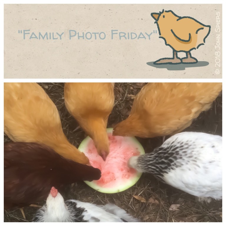 Family Photo Friday