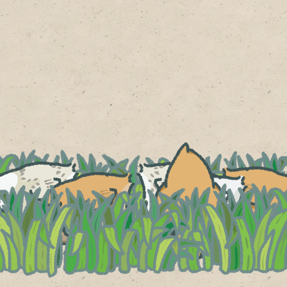 About Looking And Finding