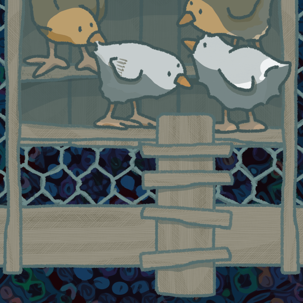 Of Light and Life and Love