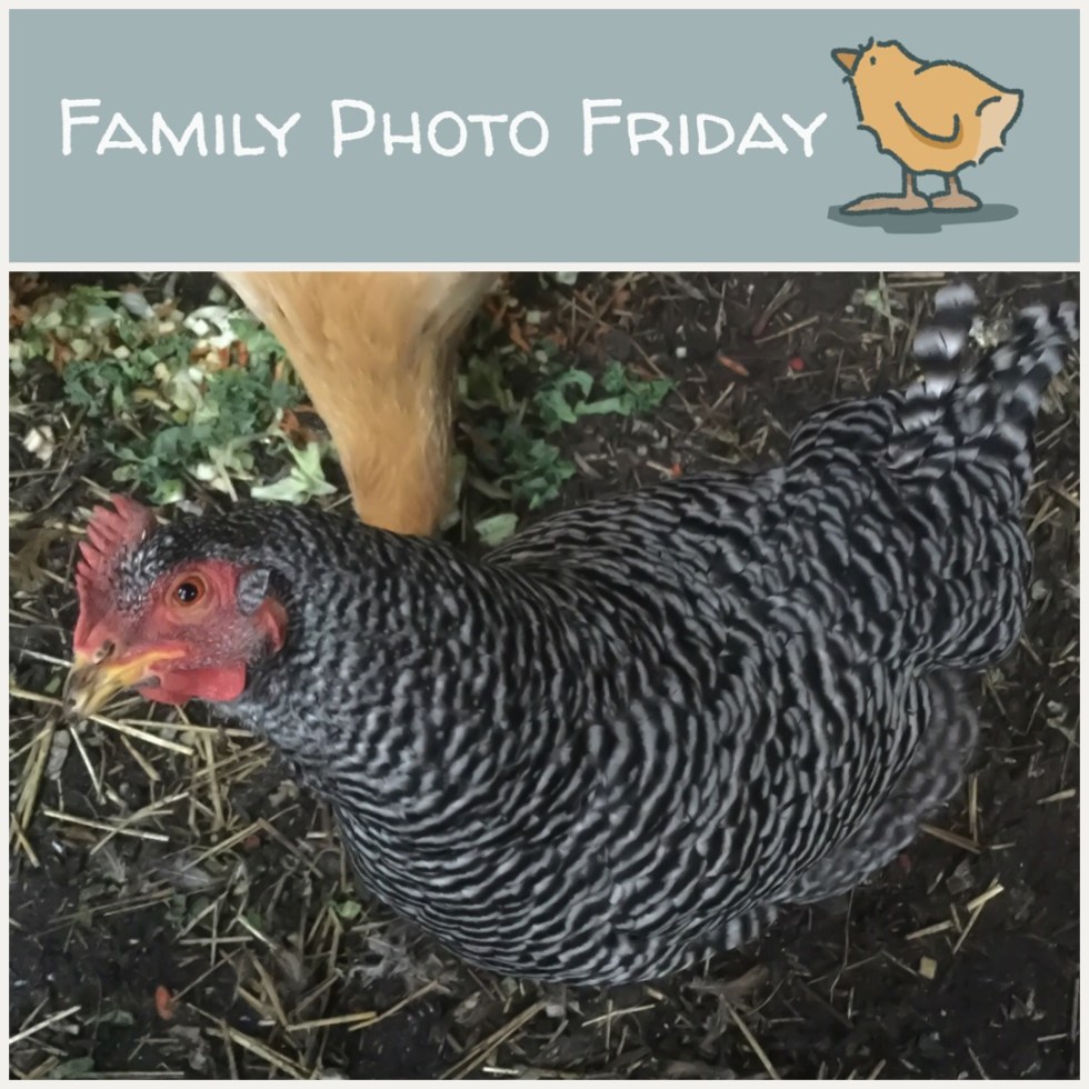 Family Photo Friday