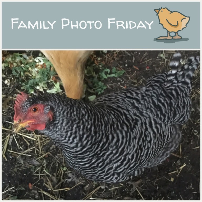 Family Photo Friday