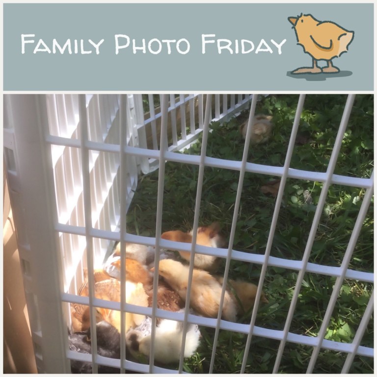 Family Photo Friday