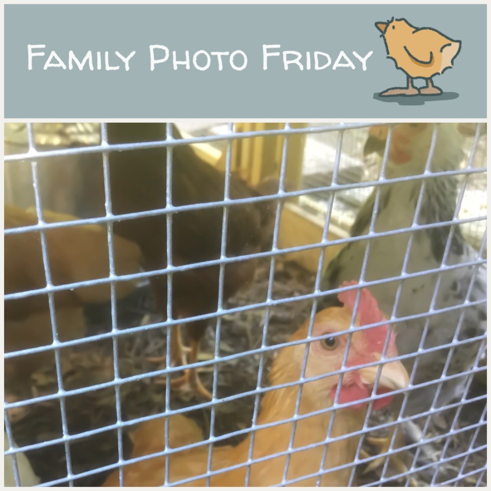 Family Photo Friday