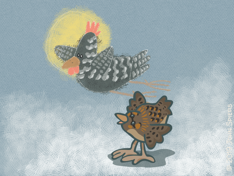 Emily's Summer Drawing Camp