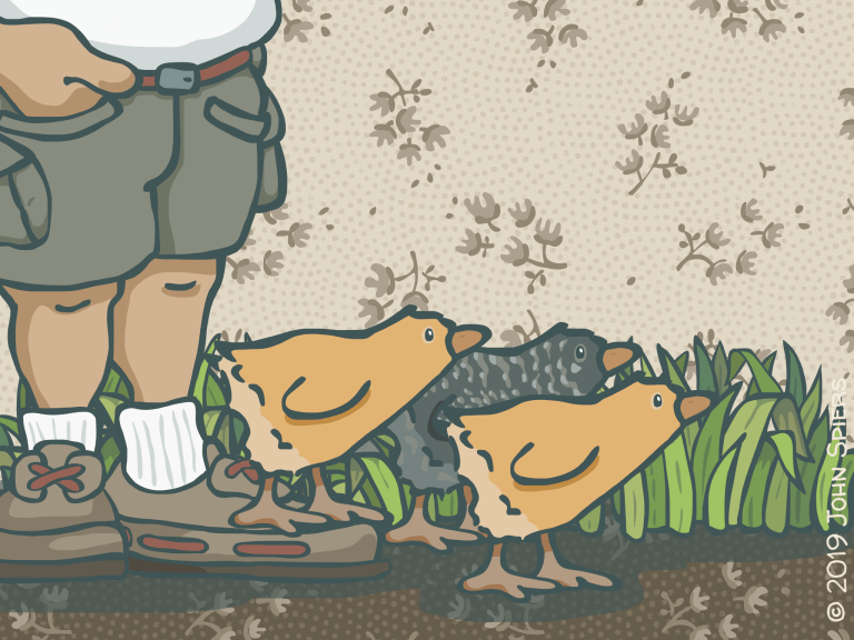 Unexplainable Mysteries