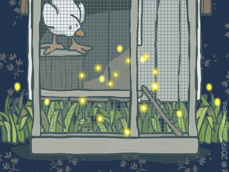 The Best Kind Of Love