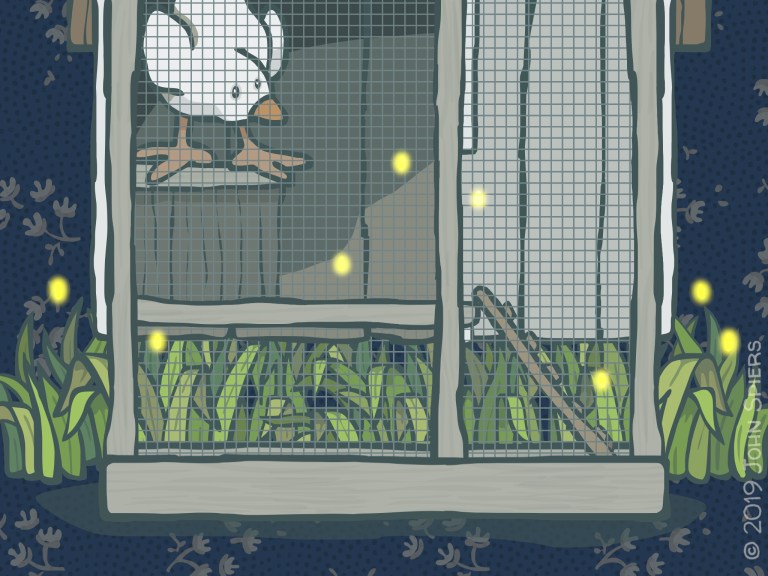 Pearl’s Incredible Treasures