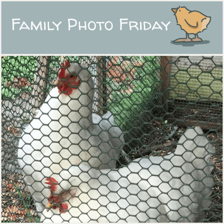 Family Photo Friday