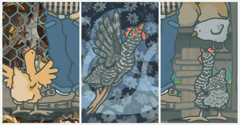 January 2019 Favorites