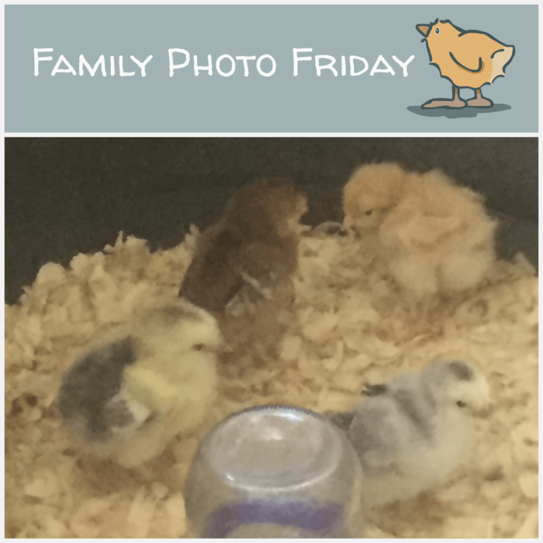 Family Photo Friday