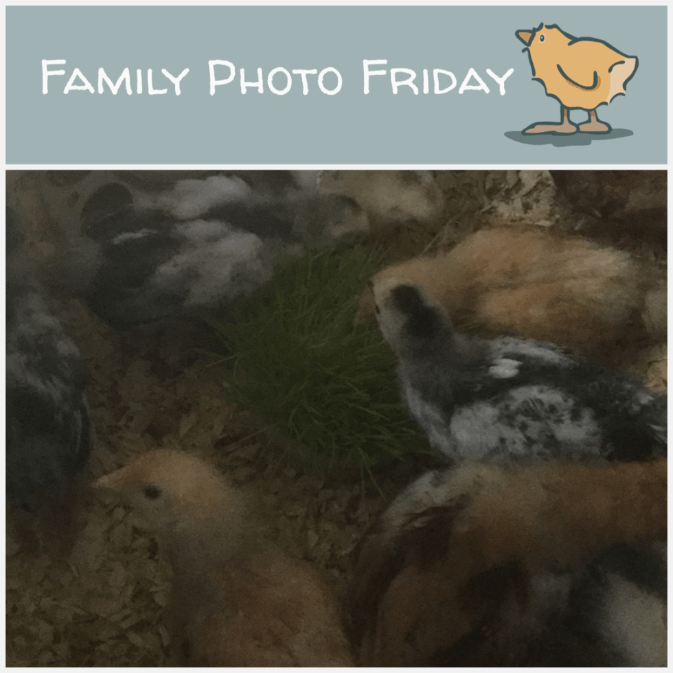 Family Photo Friday