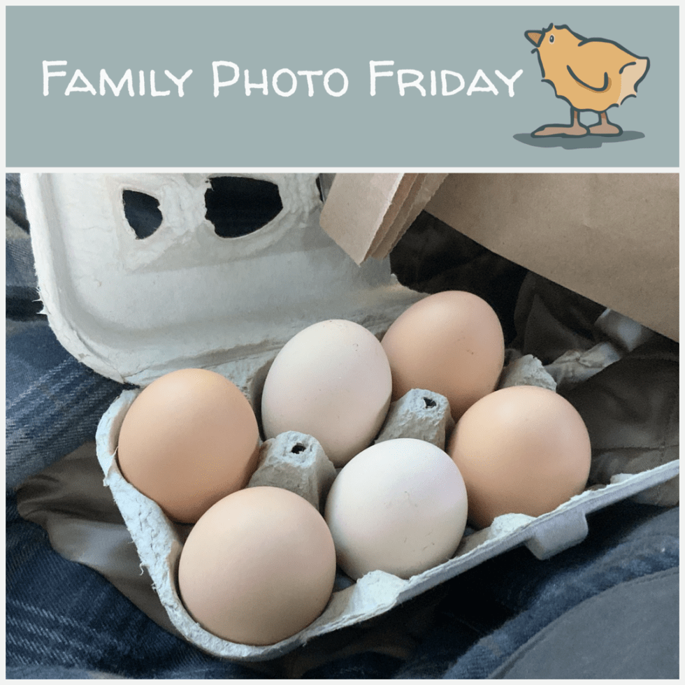 Family Photo Friday