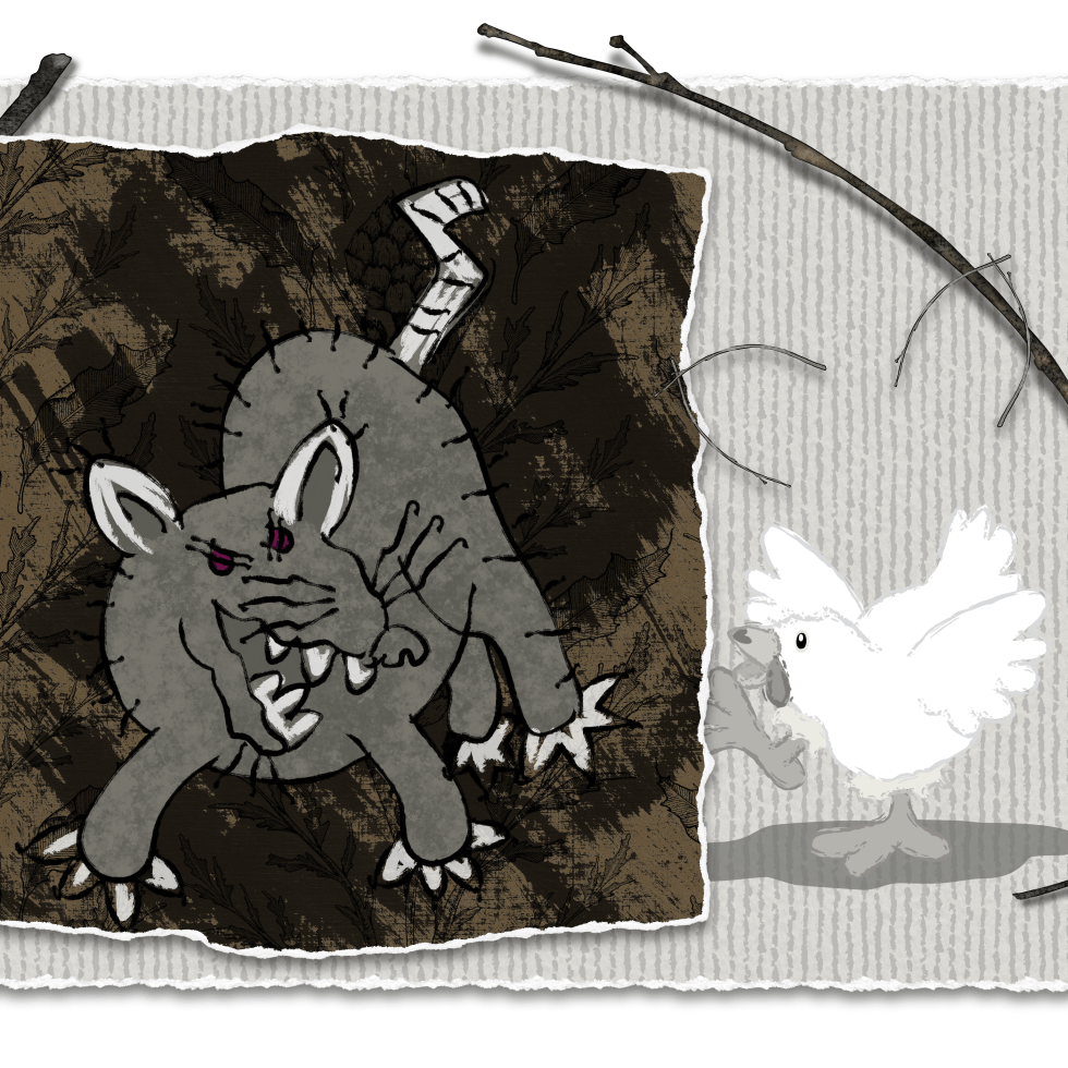 A Chicken’s Life Can Be That Way