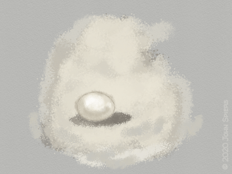 Every Egg Tells A Story