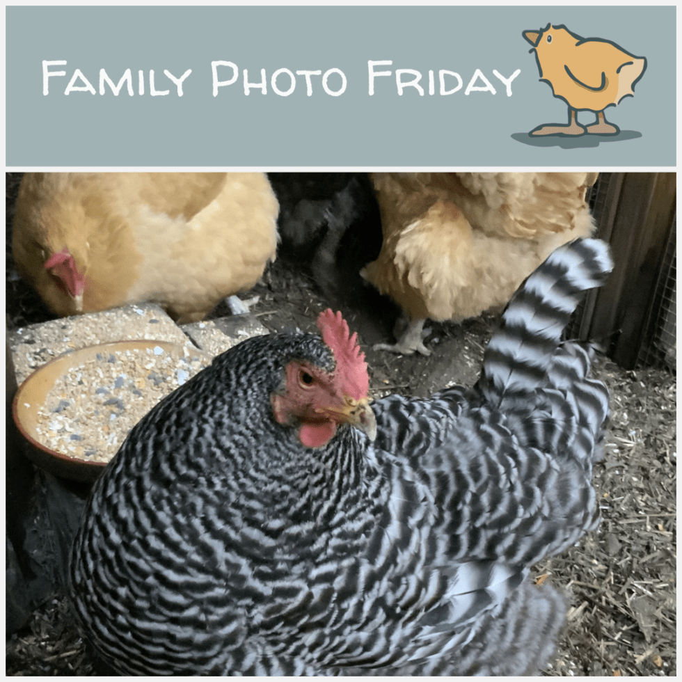 Family Photo Friday